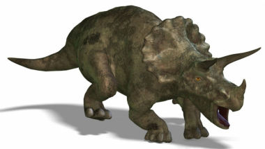 Triceratops Dinosaurus 