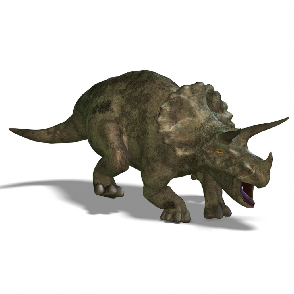 Triceratops Dinosaurus 