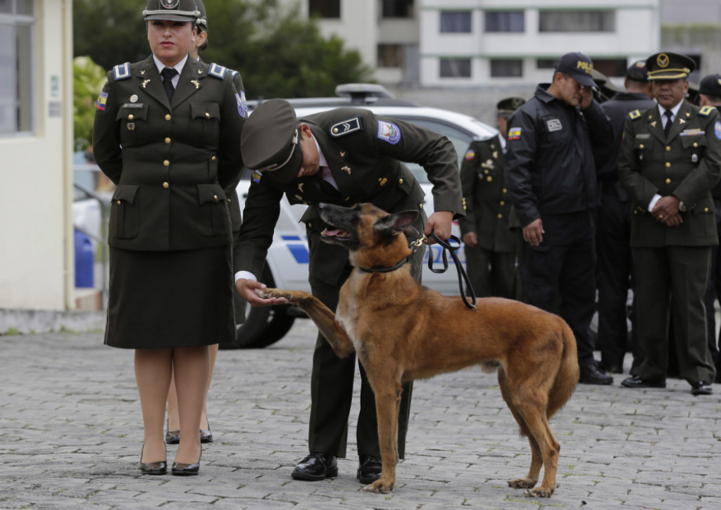 Policijski psi odlaze u penziju