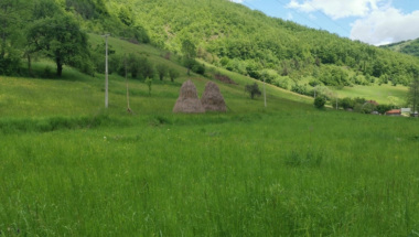 Selo Štava