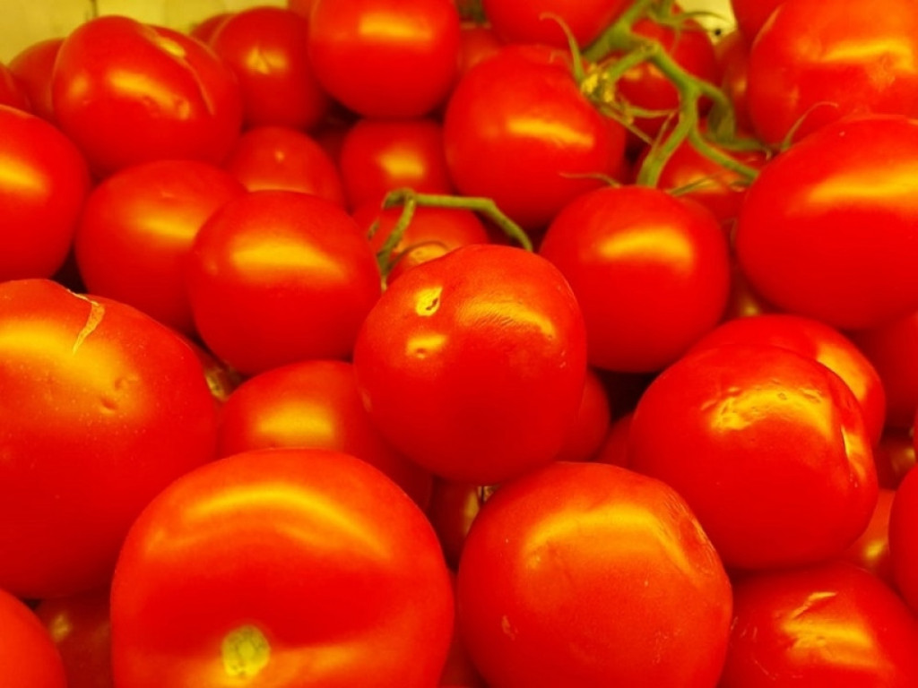 Povrće, paradajz