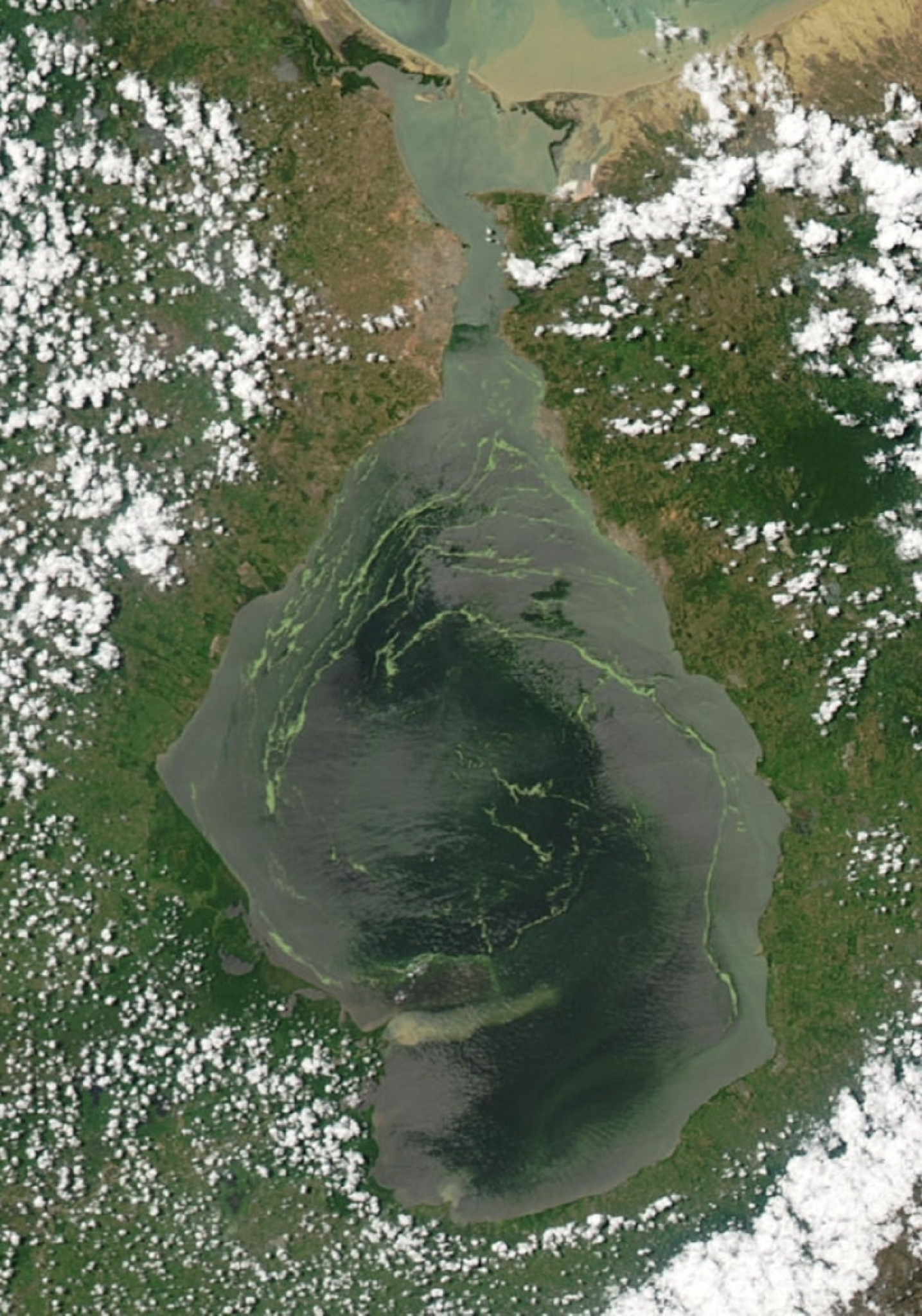 Jezero Marakaibo, google, gugl