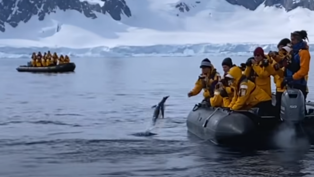 TURISTI SNIMILI NEVEROVATAN SNIMAK! Orka kitovi su jurili pingvina oko čamca, a onda se desio nestvaran preokret! (VIDEO)