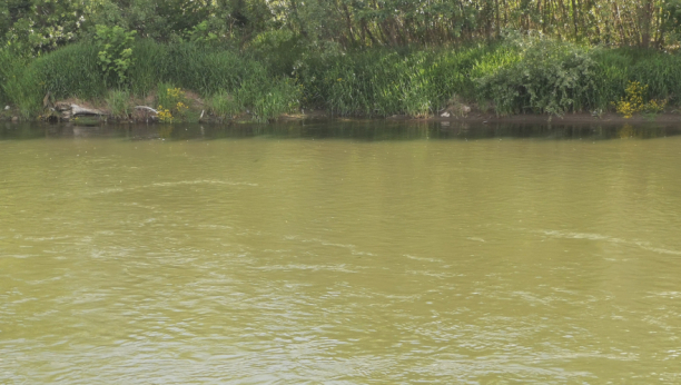 HOROR U MEKSIKU! Krokodili napali žene koje su plivale u reci, uveli ih u indukovanu komu!