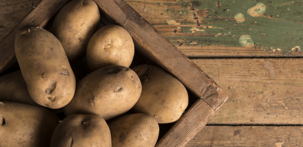Ne jedite krompir koji je proklijao: Može dovesti do ovih zdravstvenih problema