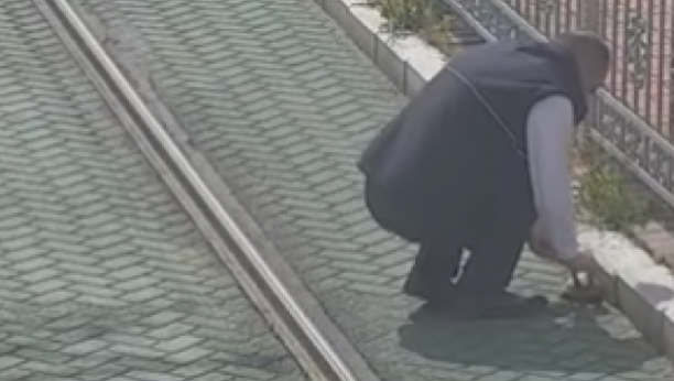 VOZAČ TRAMVAJA ODUŠEVIO CEO SVET Tokom vožnje spasio kornjaču, nadzorne kamere sve snimile (VIDEO)