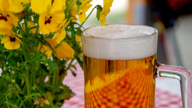 Može da bude i korisno: Pivo pozitivno deluje na zdravlje, a evo i kako