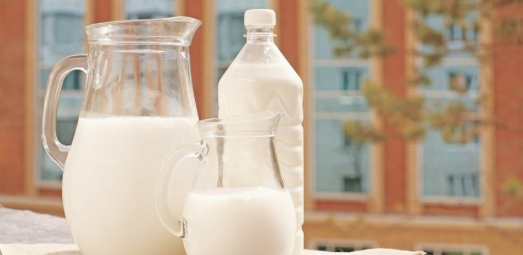 IMLEK: Otkupna cena sirovog mleka viša od 70 dinara uz redovne isplate i bez kašnjenja