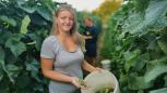 ZELENI HIT Svetlana i njen muž zarađuju više od 1.000 evra mesečno, ovo povrće rađa kao iz vode!
