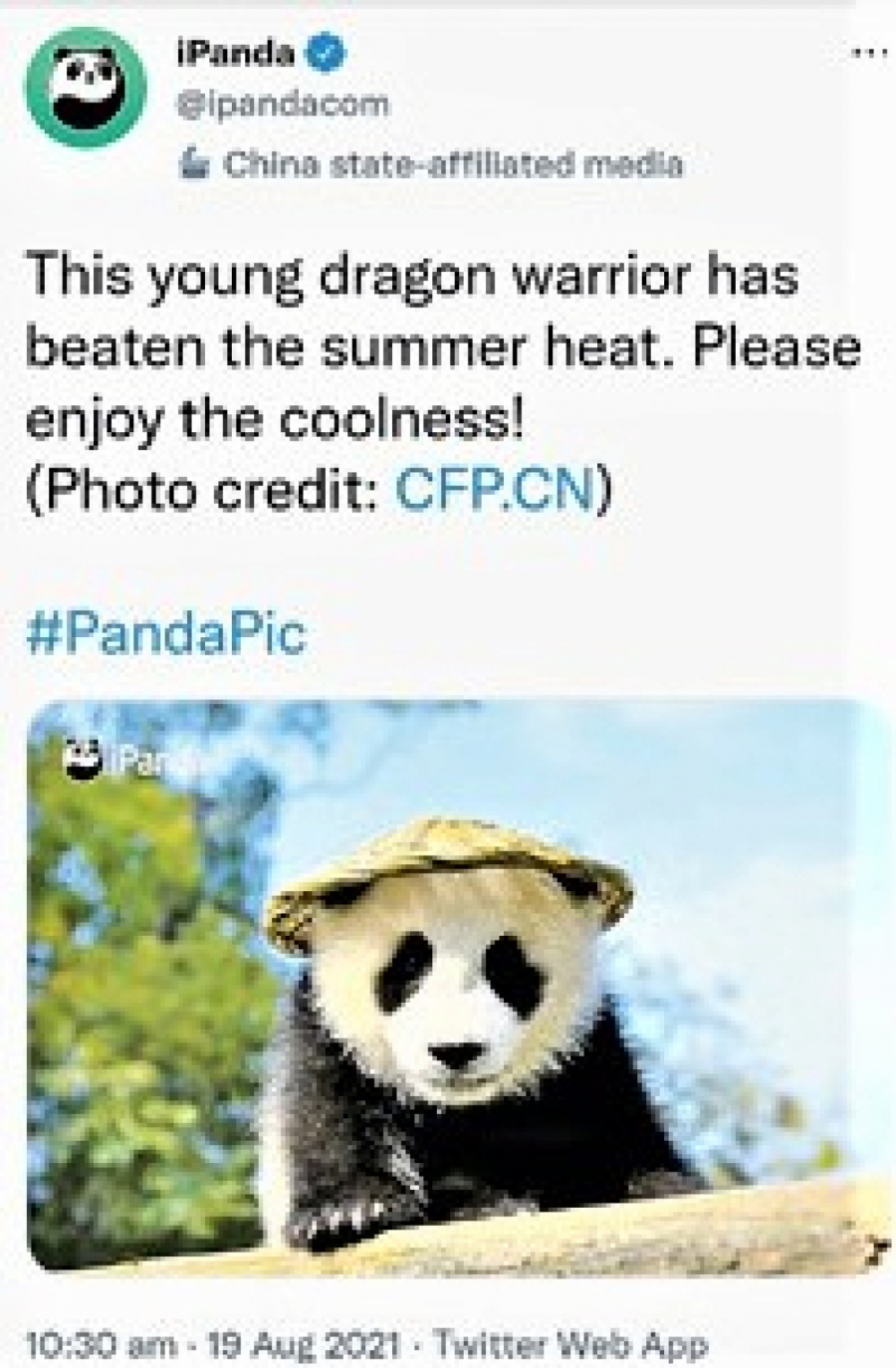 PLAVA PTICA PEVA SAMO NARUČENE PESME Tviter nemilosrdan: Označio PANDE kao deo kineske propagande!