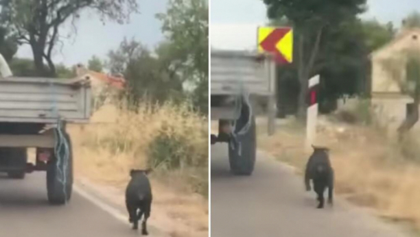 SNIMAK KOJI JE ZGROZIO REGION Psa vezao za traktor, životinja se borila za život!(VIDEO)