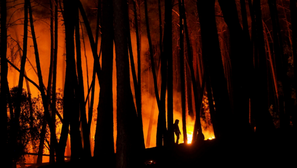 VELIKI POŽAR U HRVATSKOJ Vatrenu stihiju gasi 90 vatrogasaca, izgorelo deset hektara borove šume