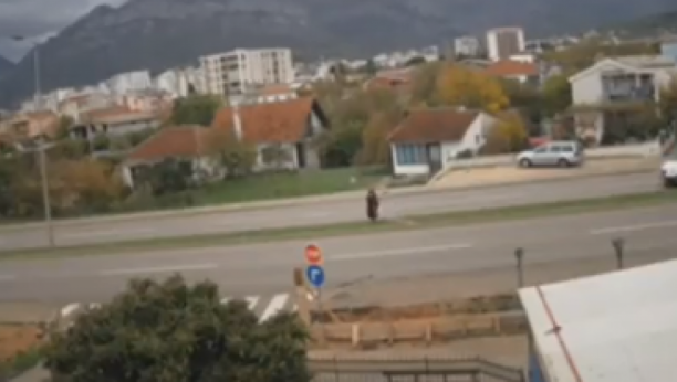 (UZNEMIRUJUĆI VIDEO) TEŠKA SAOBRAĆAJNA NESREĆA U BARU Majku Vladimira Leposavića udario motociklista