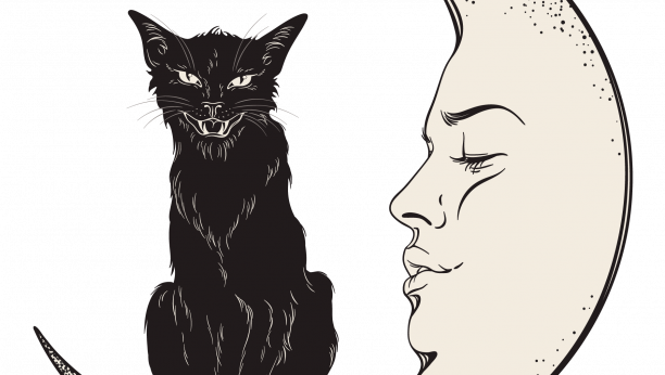 Mačke kao večita inspiracija: Ljubavna priča u koju su upleteni krzneni prijatelji