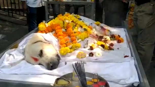 SVET OPLAKUJE NJEGOVU SMRT Kremacija patrolne šape iz Mumbaja