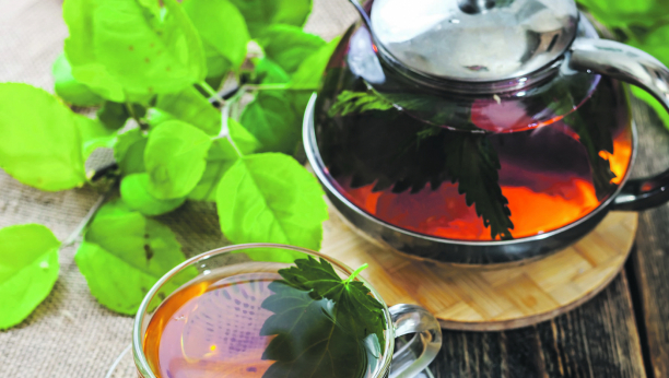 Zaboravite na pomorandžinu koru: Čaj od koprive smanjuje pojavu celulita