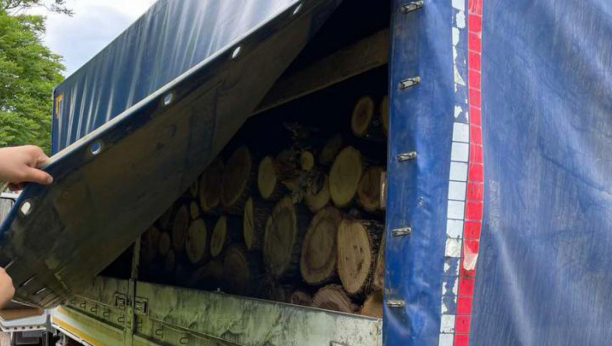 EKOLOŠKI KRIMINAL U SRBIJI Zaplenjeno pet kamiona natovarena nelegalno isečenim stablima