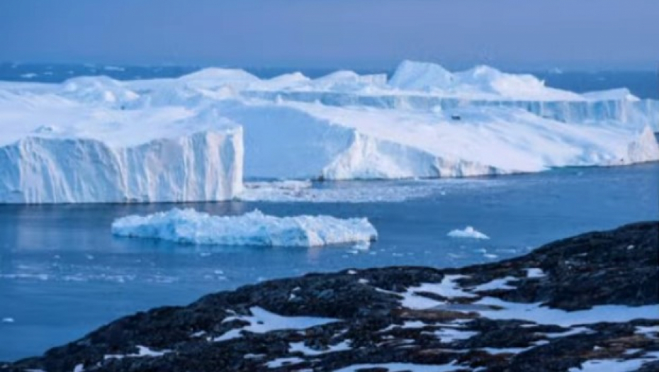 NAUČNICI OTKRILI "ZVERI UŽASA"  Šok otkriće na Grenlandu (FOTO)