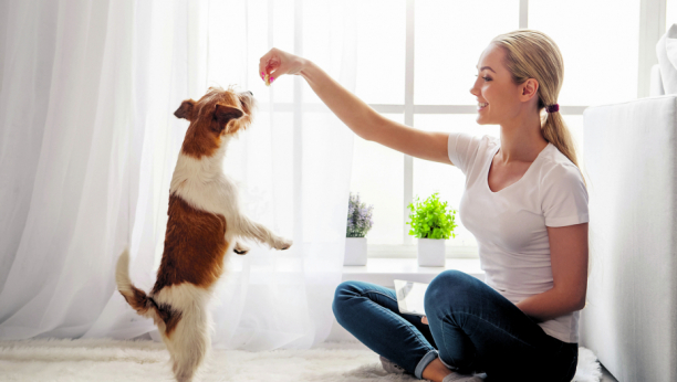 Veoma važan korak: Evo zašto treba da pomazite psa pre nego što izađete iz kuće