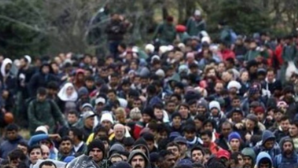 UDRUŽENI U KRIJUMČARENJU LJUDI Srbi, Hrvati i Slovenci prokrijumčarili 1.200 migranata!