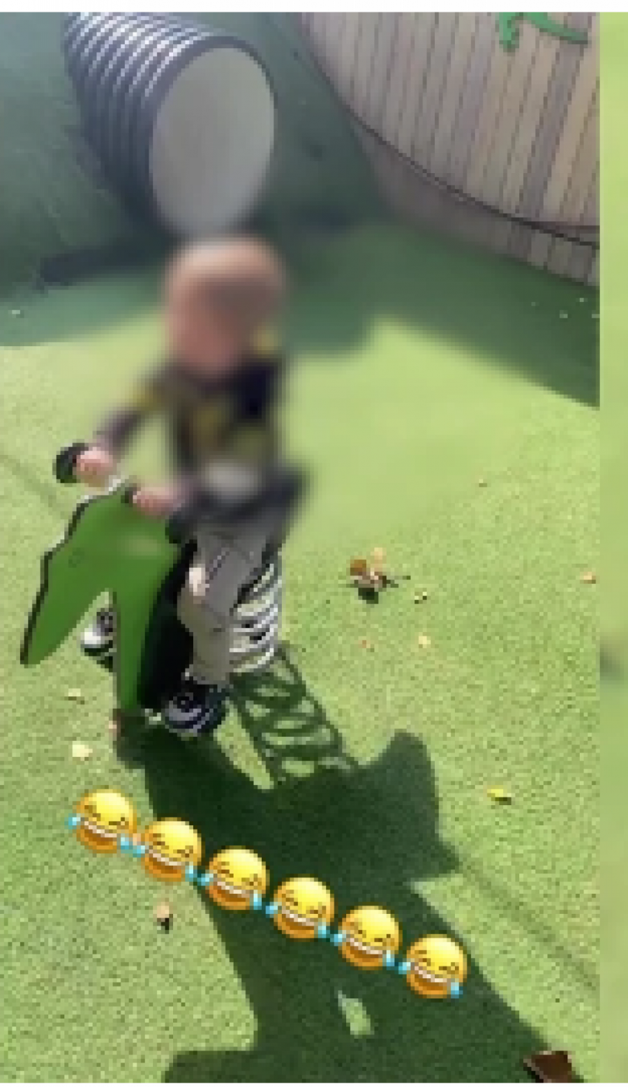 ZALETEO SE NA KOZE Hit snimak malog Željka, ludo se provodio u Zoološkom vrtu (FOTO/VIDEO)