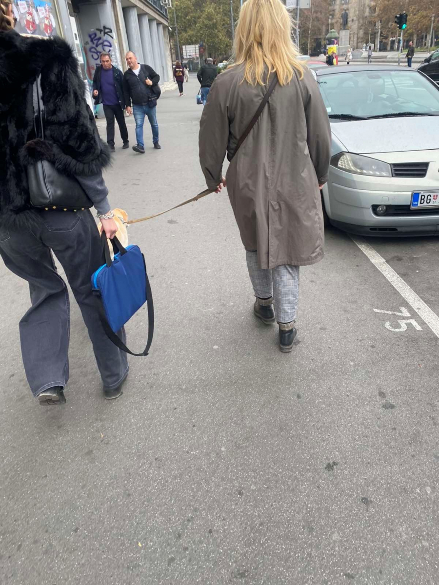ALO! PAPARAZZO Suzana Mančić prati ćerku na posao, a on im pravi društvo (FOTO)