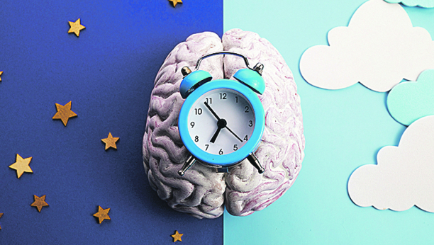 TREPLJE U MOZGU NAS KONTROLIŠU Imaju značajnu ulogu u orijentaciji i proceni vremena