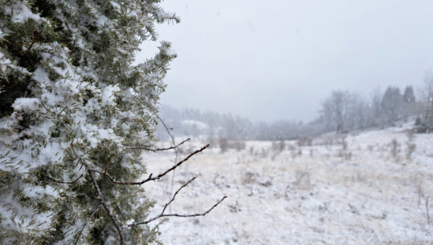 SRBIJA SE KONAČNO ZABELELA! Sneg pada već nekoliko sati u ovim krajevima, očekuje se da napada i do POLA METRA (FOTO)