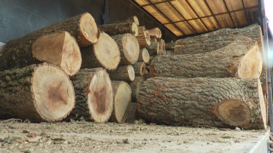 DRASTIČNO PALA CENA OGREVA Metar drva tri puta jeftiniji
