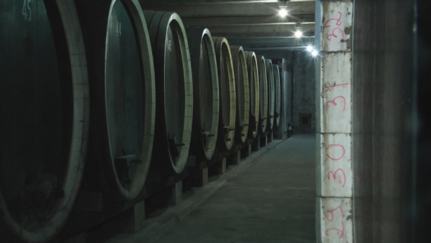 OD ŠTETE BOLI GLAVA Provalnik upao u vinariju, pa prosuo vino vredno 2,5 MILIONA EVRA! (VIDEO)