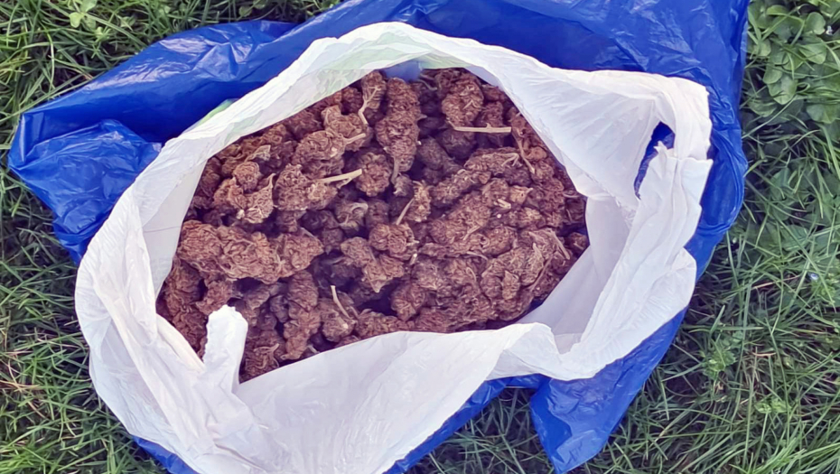 UHAPŠEN DILER U KRALJEVU  Policija pronašla skoro kilo kanabisa