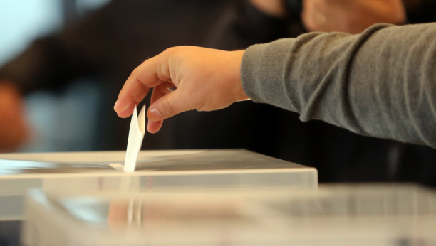 KLJUČNI 17. DECEMBAR Izbore u Srbiji pratiće 30 posmatrača, na sam dan izbora još 250