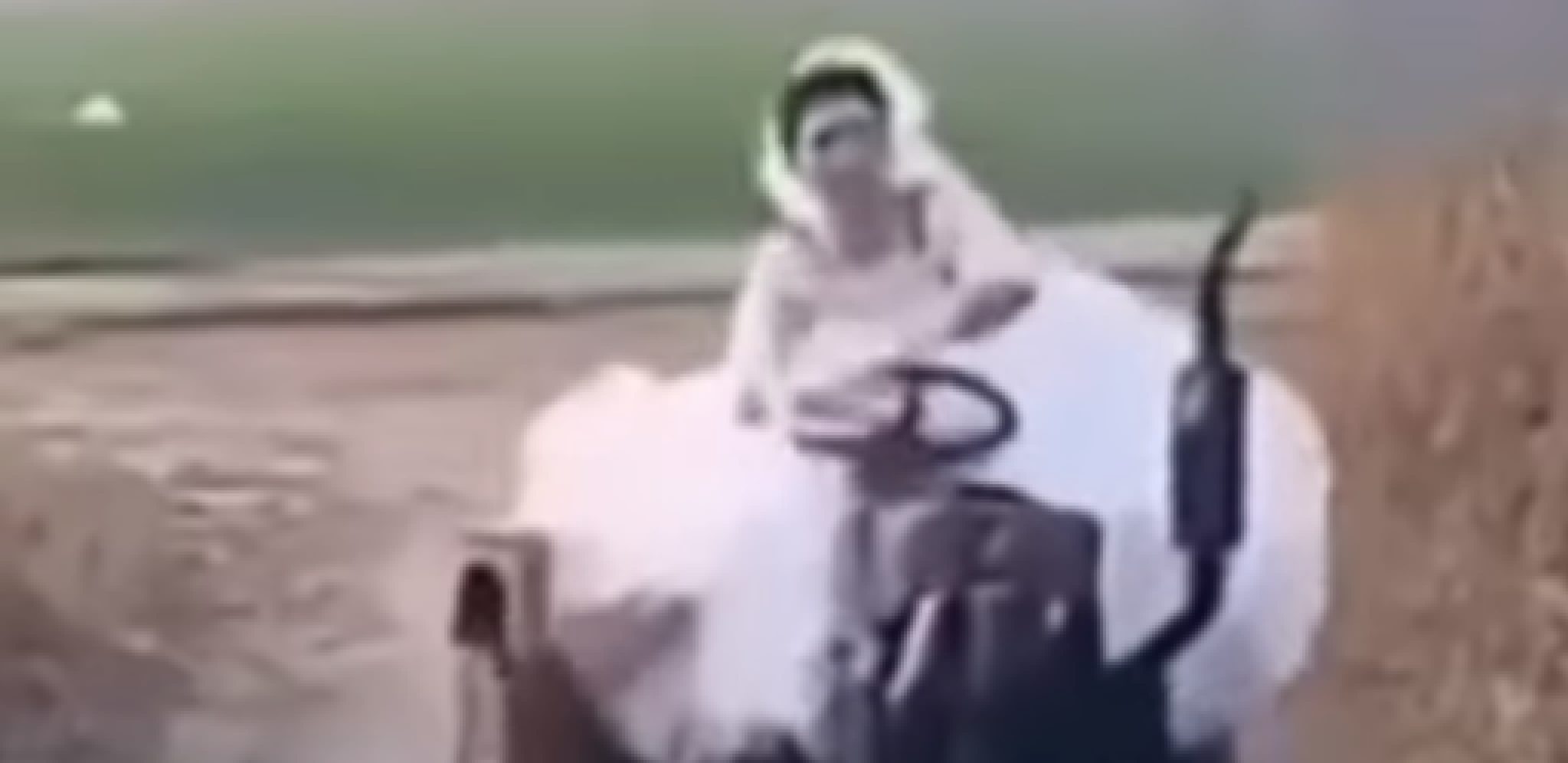 SELA NA TRAKTOR I ZAPALILA SA SVADBE Mlada za sobom podigla prašinu, pobegla u šipražje (VIDEO)