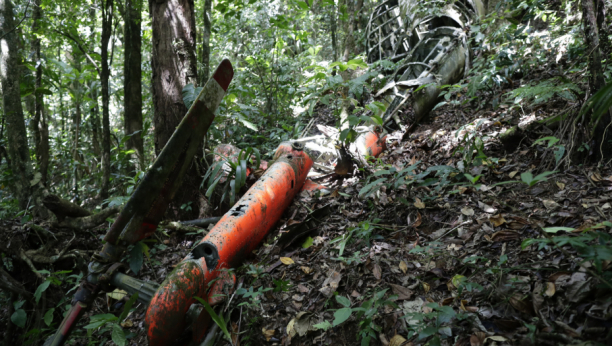 MISLILI SU DA NEMA PREŽIVELIH, A ONDA SE DESILO ČUDO Četvoro dece nađeno živo u džungli 17 dana nakon avionske nesreće