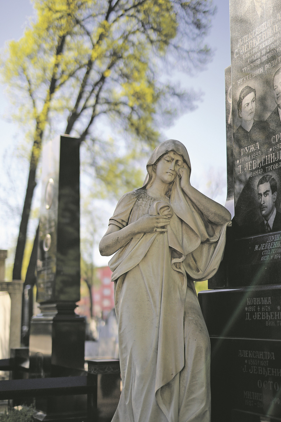Novo groblje u Beogradu