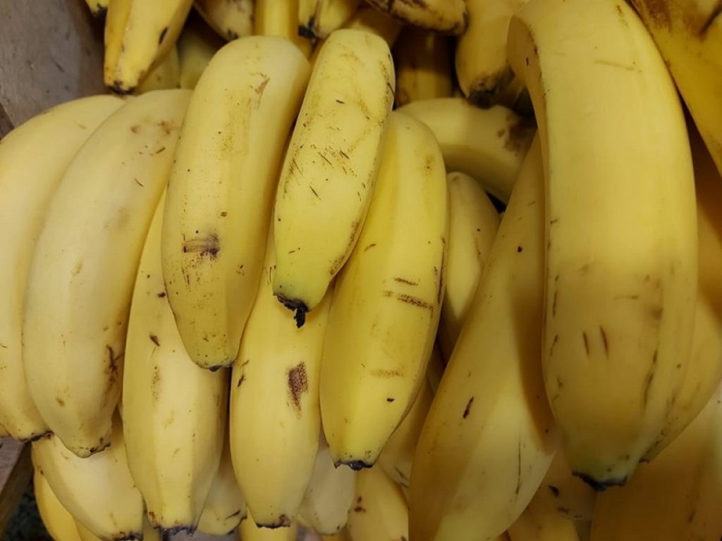 Voće, banane