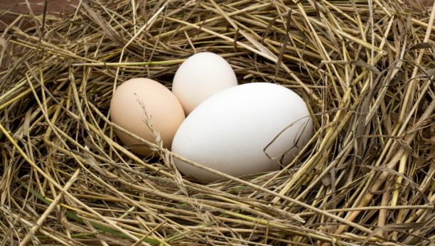 Postoji razlika! Zbog čega su neka jaja bele boje, a druga smeđe, i da li to utiče na ukus?