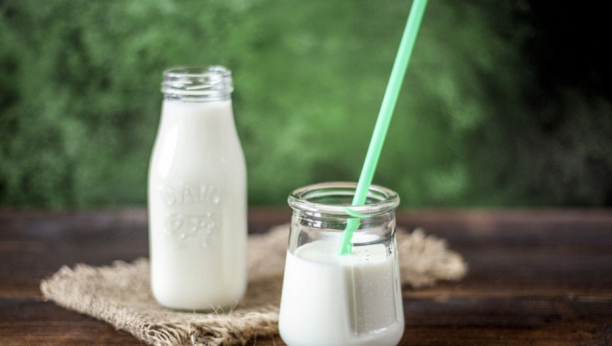 UVOZ I ZAŠTITA DOMAĆE PROIZVODNJE Premije za mleko povećane za 15 dinara po litru!
