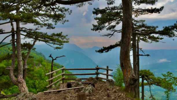 BIRAM SRCEM, BIRAM SRBIJU Turistička organizacija Srbije preporučuje najlepši nacionalni park Taru kao nezaobilazno mesto za posetu! (VIDEO/FOTO)
