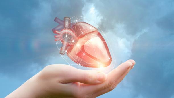 Naučna studija pokazuje kako se ljudska srca povezuju kroz magnetno polje Zemlje!