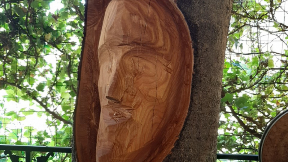 Skulptura u trešnjinom drvetu Petra Jelića