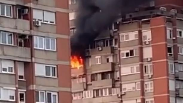 GORI STAN PRI VRHU SOLITERA Požar na Novom Beogradu: Dim kulja iz zgrade (VIDEO)