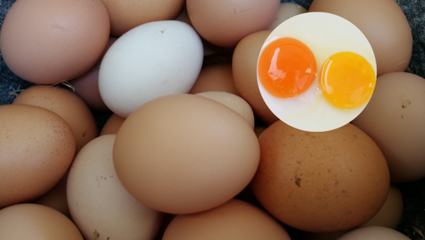 KOLIKO VAS JE BILO U PRAVU Naučnici "rešili" misteriju "šta je starije, kokoška ili jaje"