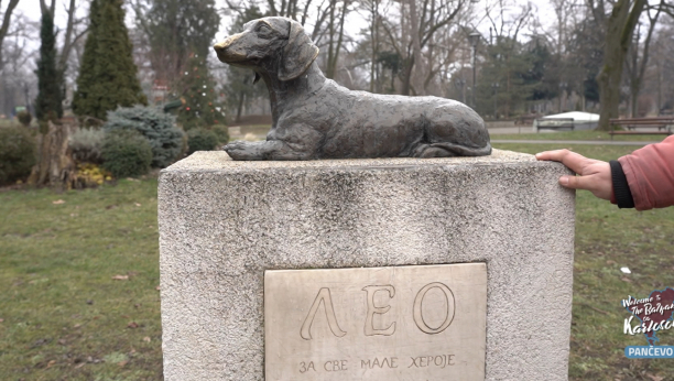 Kako je pas Leo zaslušio herojski spomenik?