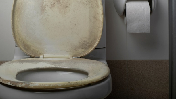 ERUPCIJA VULKANA, FUJ! Nakon ovoga više vam nikada neće pasti na pamet da ovako puštate vodu u WC šolji (VIDEO)