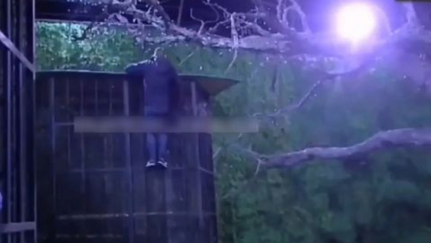 BEBICA POBEGAO IZ ZADRUGE! Miljanin dečko preskočio ogradu i napustio Kulićevu, pojavio se snimak! (VIDEO)