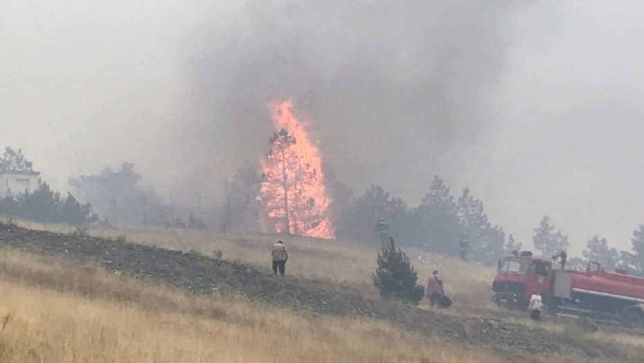 HRABRI VATROGASCI ODRADILI POSAO Požar na Tari stavljen pod kontrolu (FOTO)