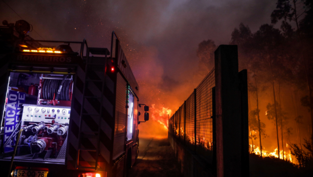 IZGORELA CELA BARAKA Požar na Bežanijskoj kosi gasilo 17 vatrogasaca (VIDEO)
