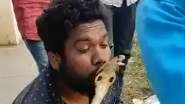 OVAJ POLJUBAC NIJE MU TREBAO!  Indijac načinio pogrešan korak, usledio munjevit napad kobre (VIDEO)