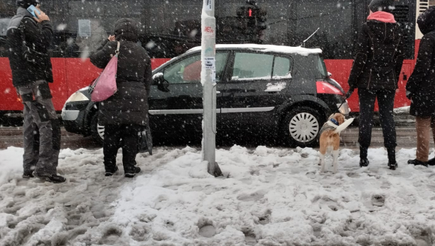 SRBIJA PARALISANA Ređaju se saobraćajne nesreće, sneg sve zavejao! (FOTO/VIDEO)